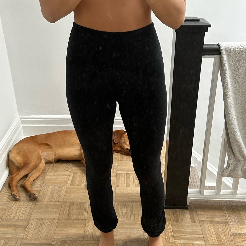 Aritizia Joggers
